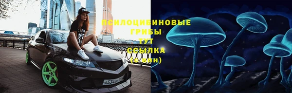 метадон Краснослободск