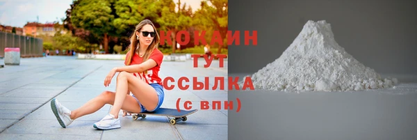 дмт Козельск