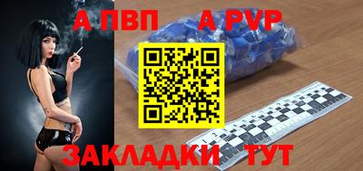ешки Гай