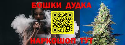 ешки Гай