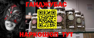 ешки Гай