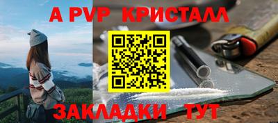 ешки Гай