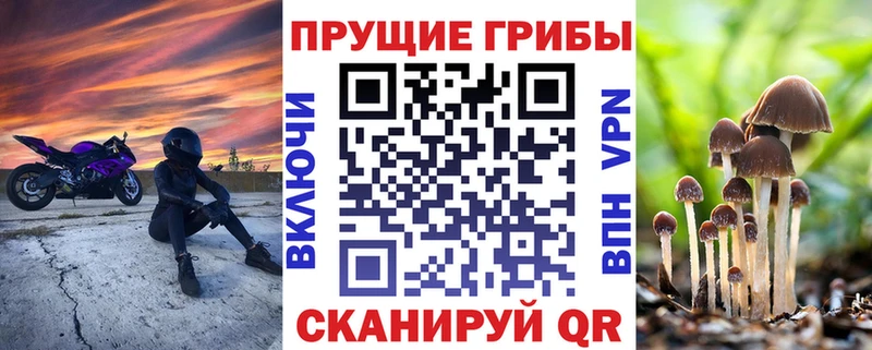 нарко площадка клад  Клин  Галлюциногенные грибы прущие грибы 