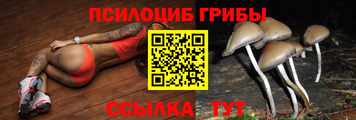 Псилоцибиновые грибы Psilocybine cubensis Клин