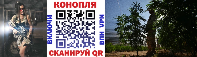 Бошки марихуана SATIVA & INDICA Клин